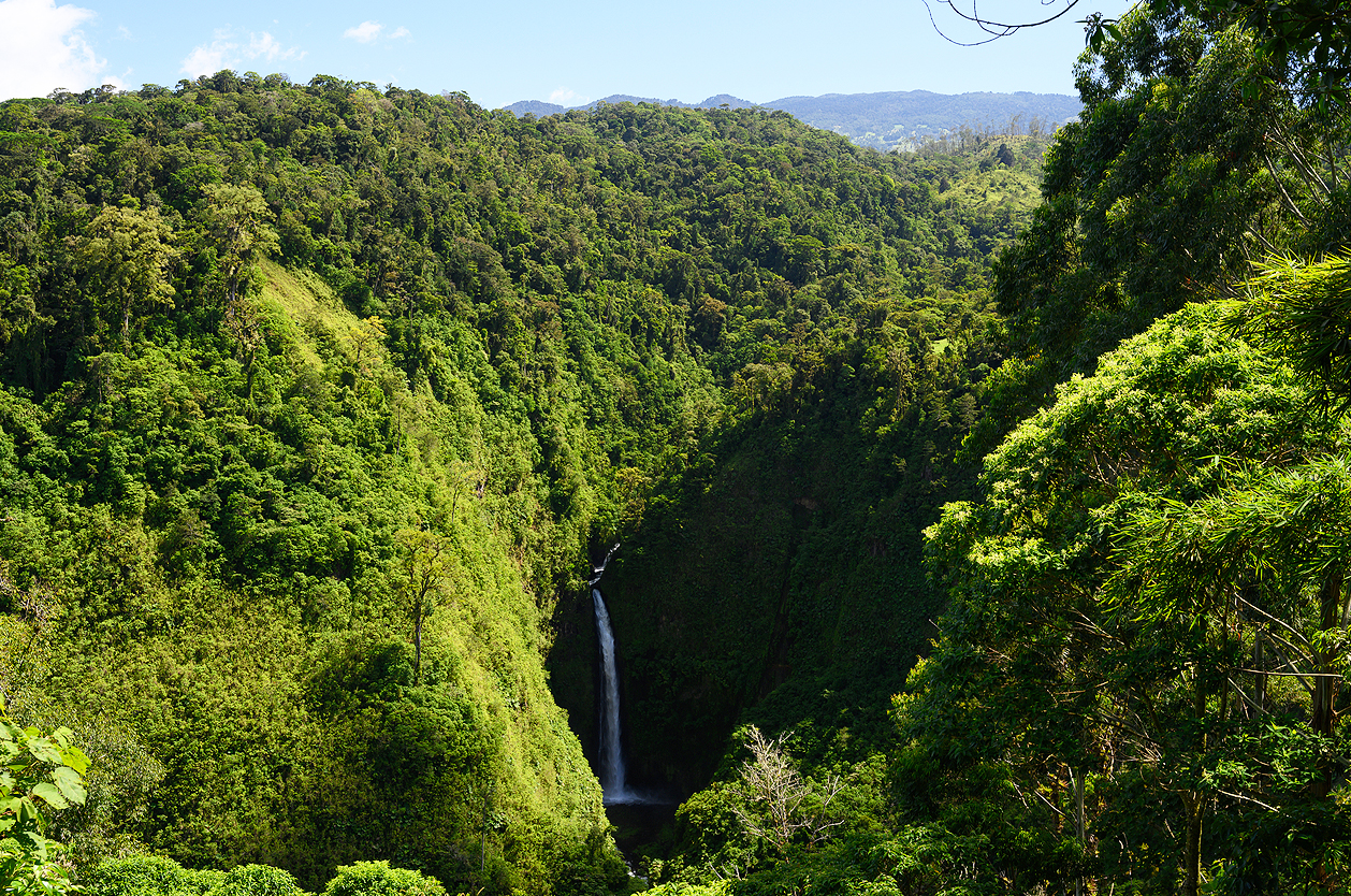Vodopád v pralese, Kostarika